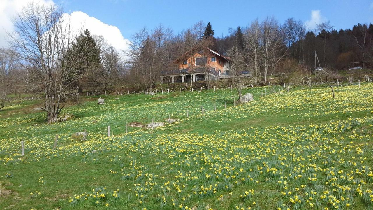 Gîte de la Lombarde Le Tholy Exterior foto